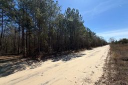 Bhl 11 Boise Cascade Road photo 4