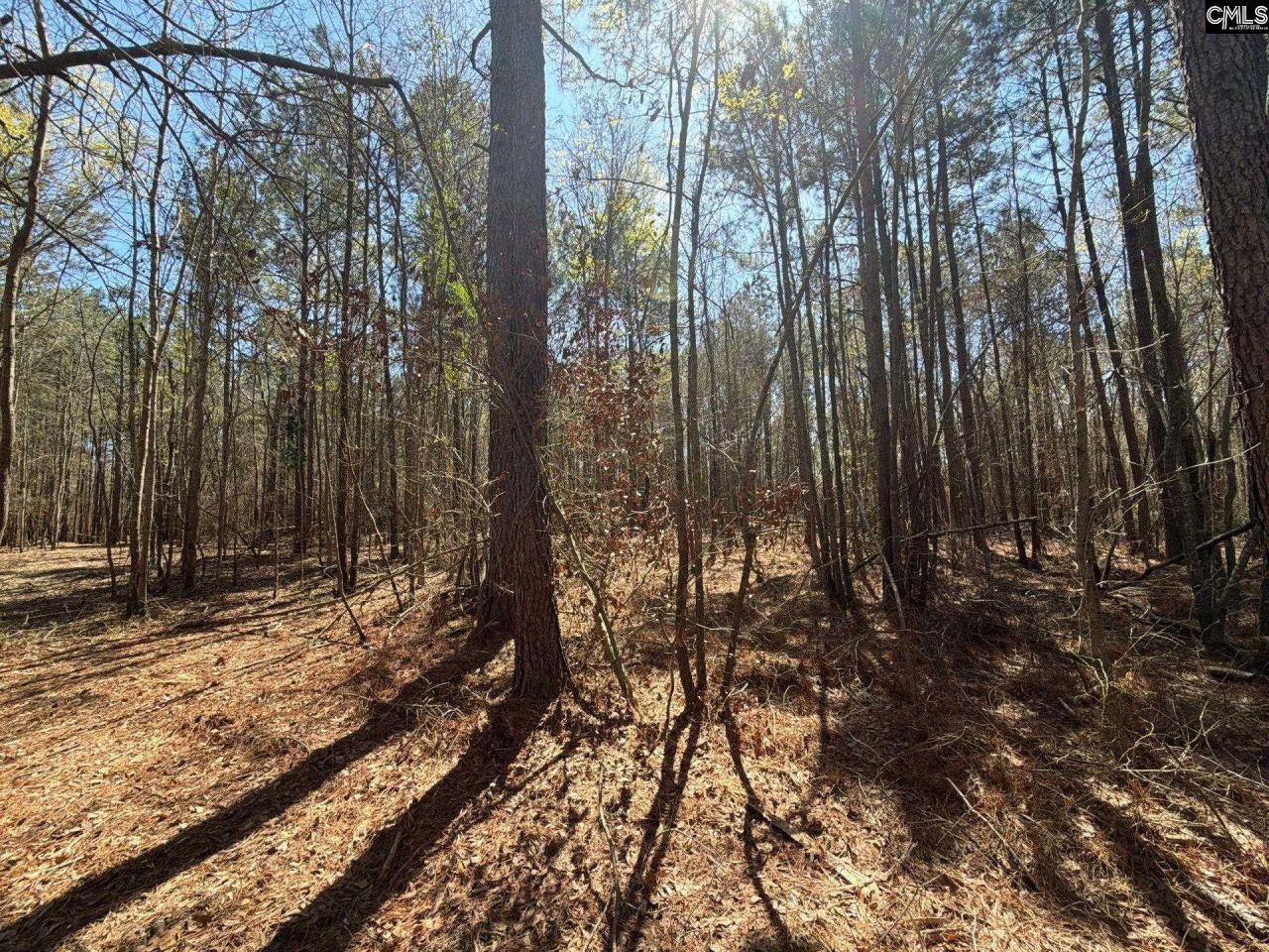 Bhl 11 Boise Cascade Road Photo 5