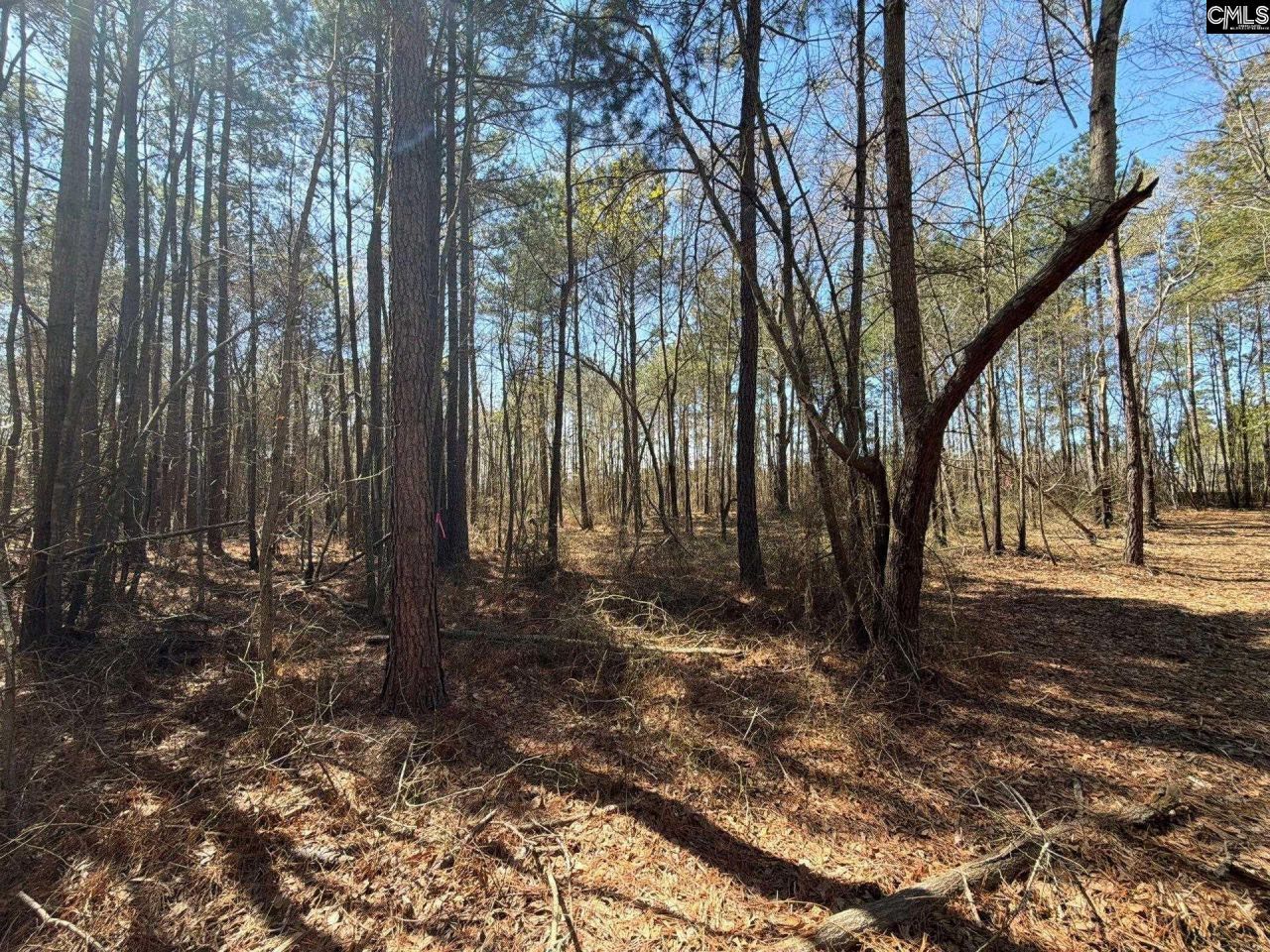 Bhl 11 Boise Cascade Road Photo 6