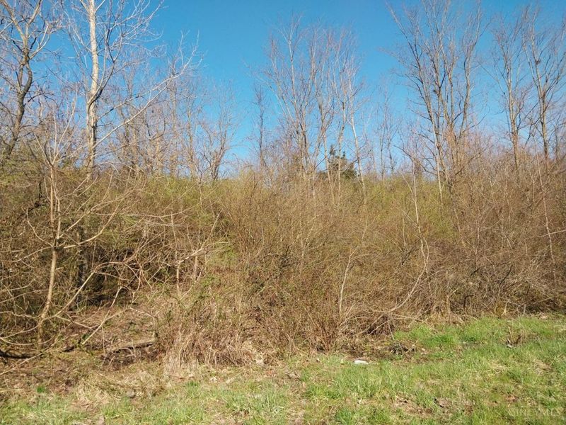 0 Briggs Road, Greenfield, OH 45123 Photo 3