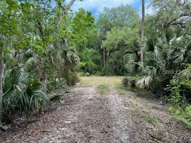 1747 Turtle Hill Road, Deltona, FL 32725 Photo