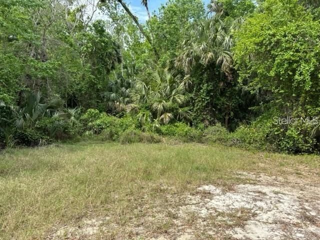 1747 Turtle Hill Road, Deltona, FL 32725 Photo