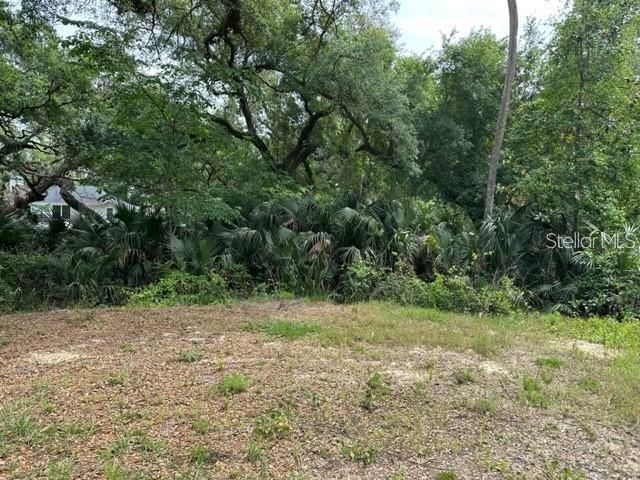 1747 Turtle Hill Road, Deltona, FL 32725 Photo