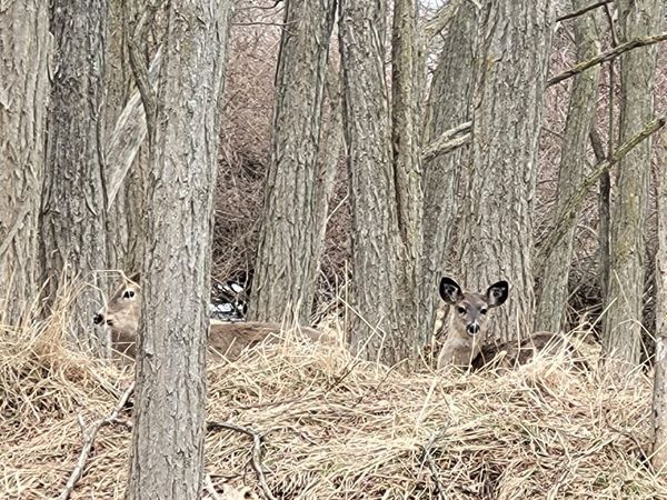 0 Twelfth Street, Manistee, MI 49660