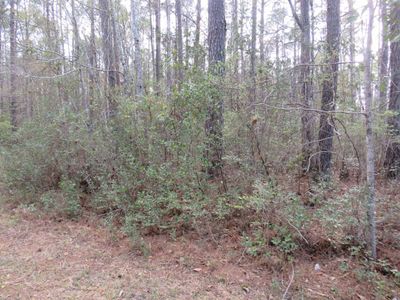 T.B.D. Finnell Rd. , Little River, SC 29566