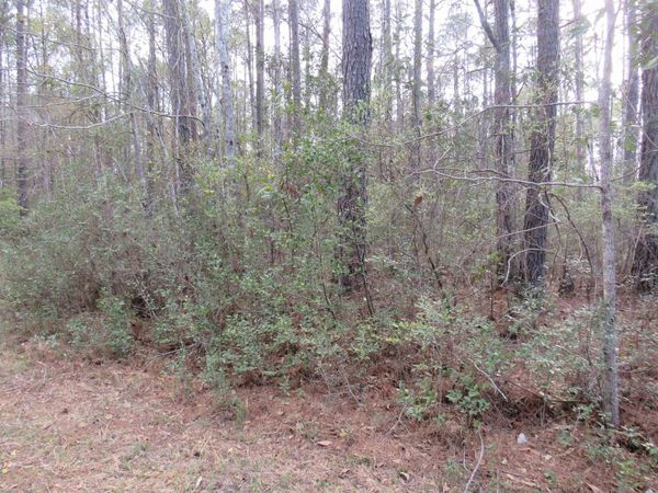 T.B.D. Finnell Rd. , Little River, SC 29566