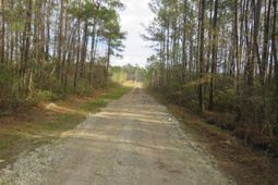 T.b.d. Finnell Rd.  photo 4