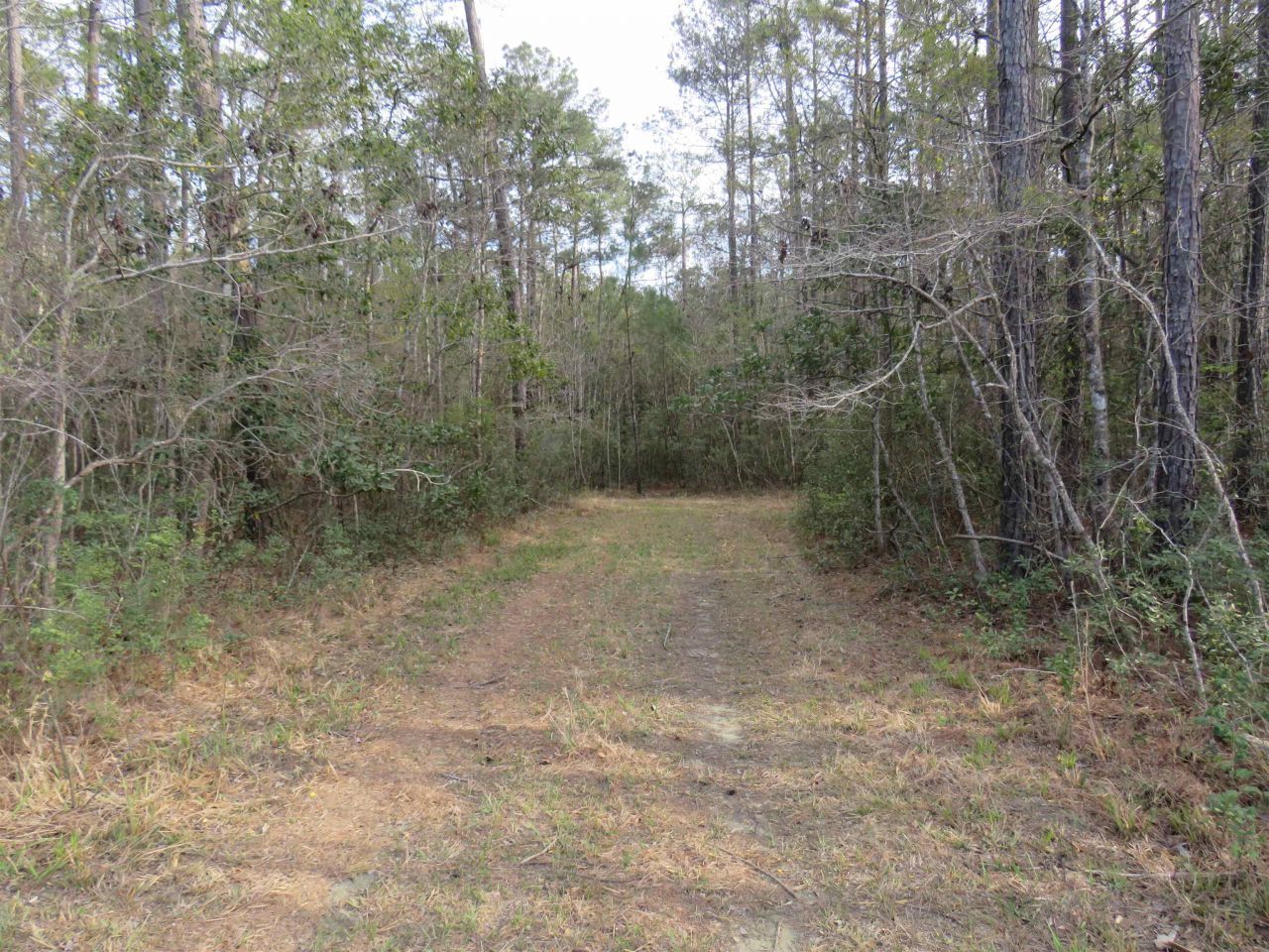 T.b.d. Finnell Rd. Photo 4