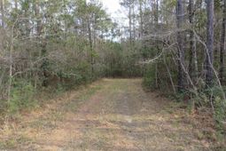 T.b.d. Finnell Rd. photo 4