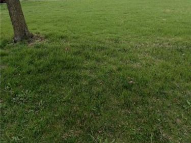 0 Montgomery Avenue, Springfield, OH 45506