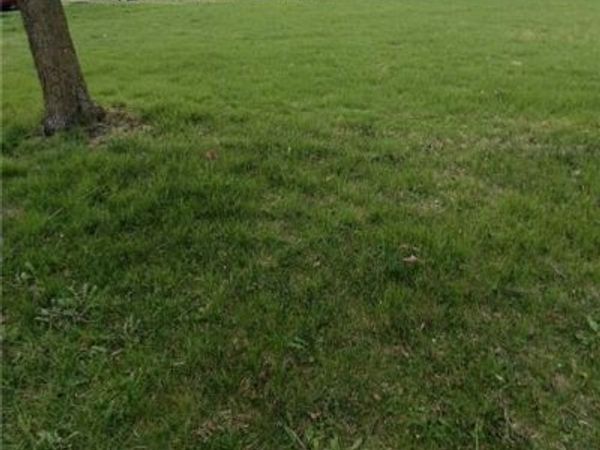 0 Montgomery Avenue, Springfield, OH 45506