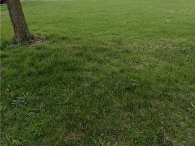 0 Montgomery Avenue, Springfield, OH 45506 Photo 1