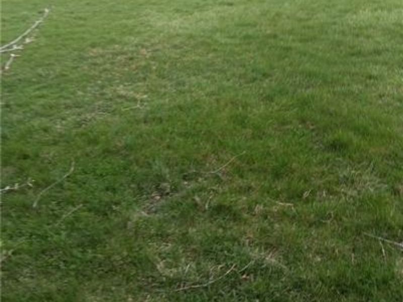 0 Montgomery Avenue, Springfield, OH 45506 Photo 3