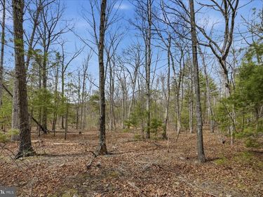 5.35 AC # 16 B- BACK MOUNTAIN RD , WINCHESTER, VA 22602