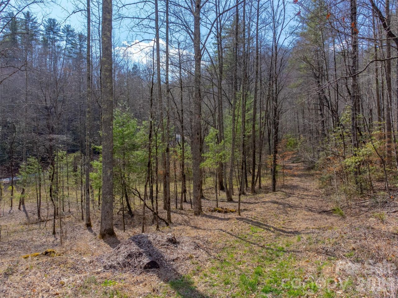 47.52 Ac Little Snowbird Road, Robbinsville, NC 28771 Main Photo
