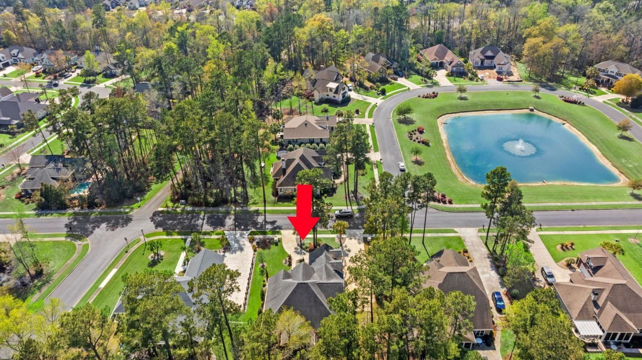 292 Chamberlin Dr. Photo 49