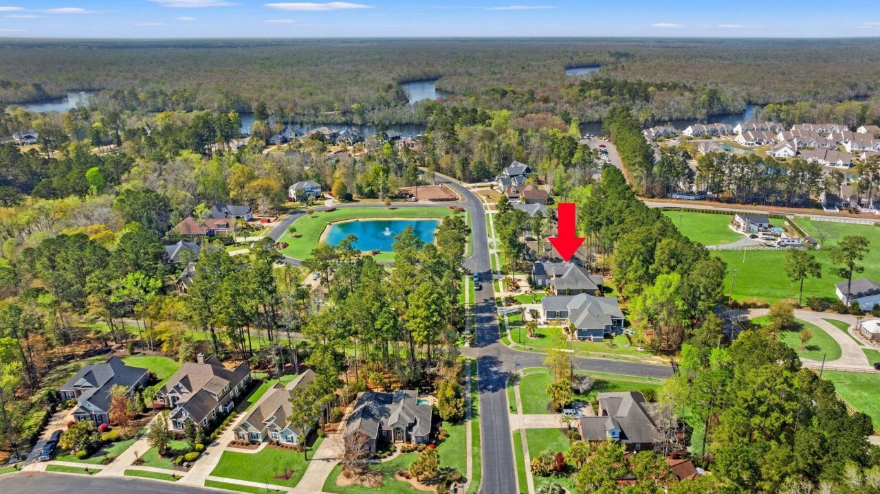 292 Chamberlin Dr. Photo 53