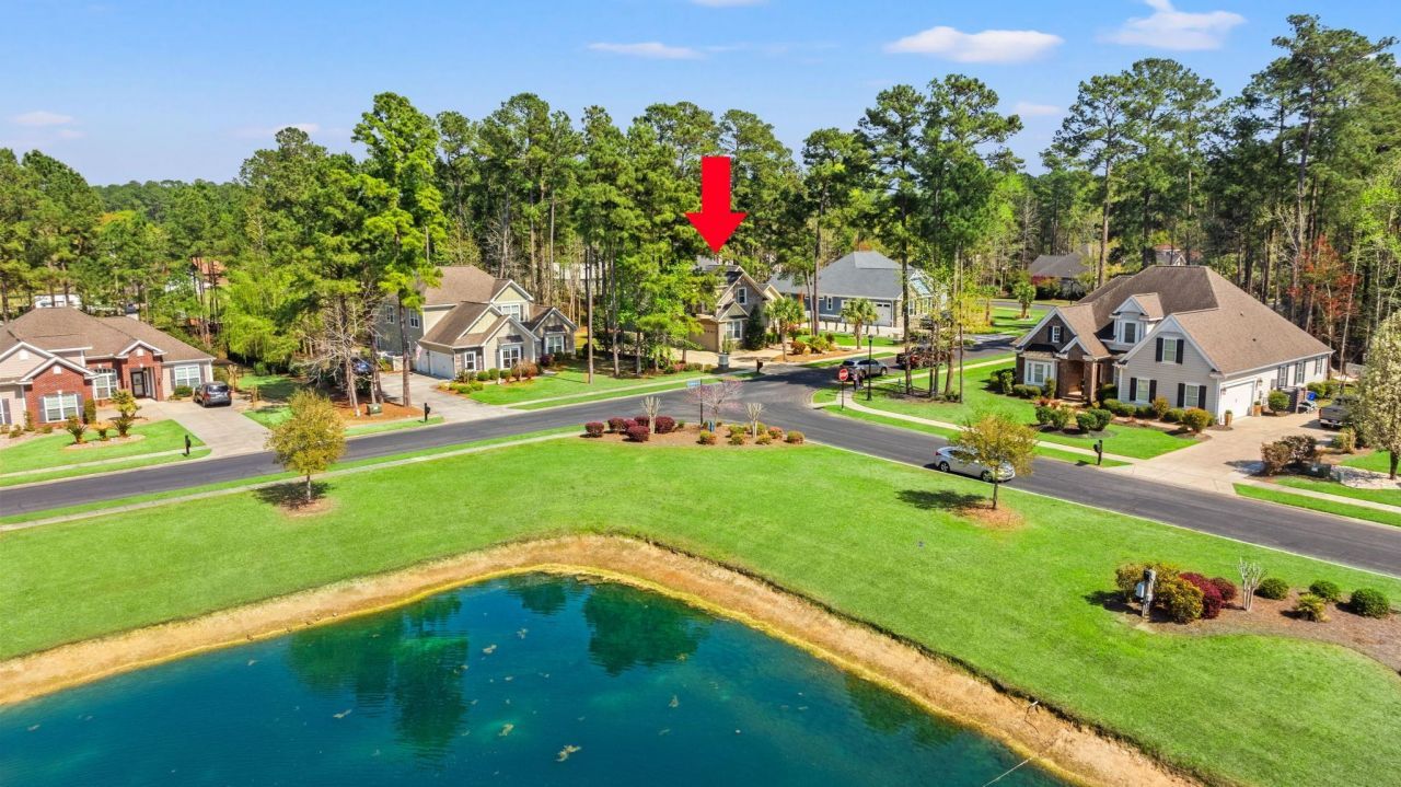 292 Chamberlin Dr. Photo 57