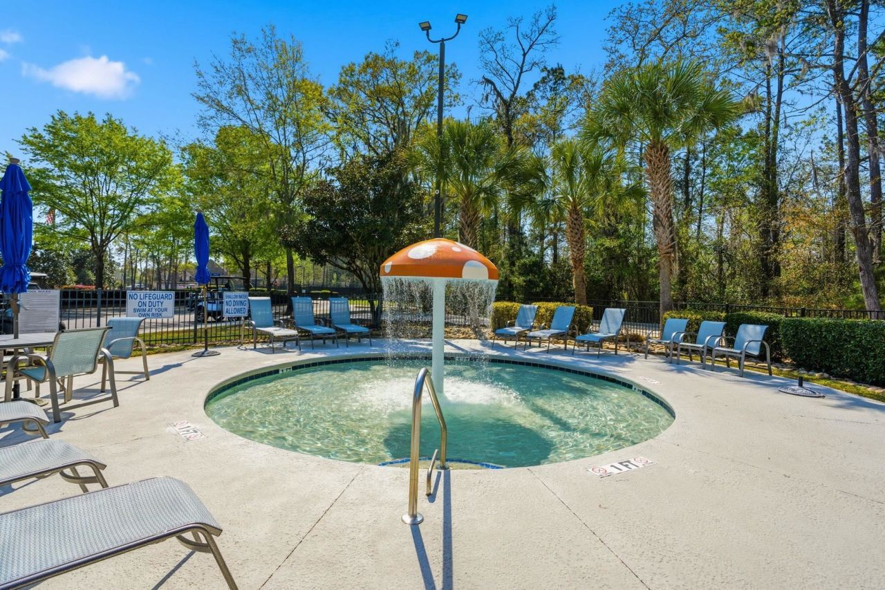 292 Chamberlin Dr. Photo 75