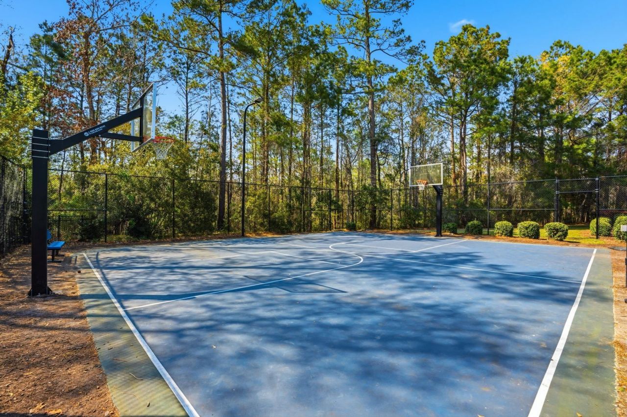 292 Chamberlin Dr. Photo 79