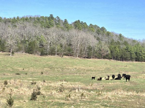 311 Rock Hill Road, Dolph, AR 72528