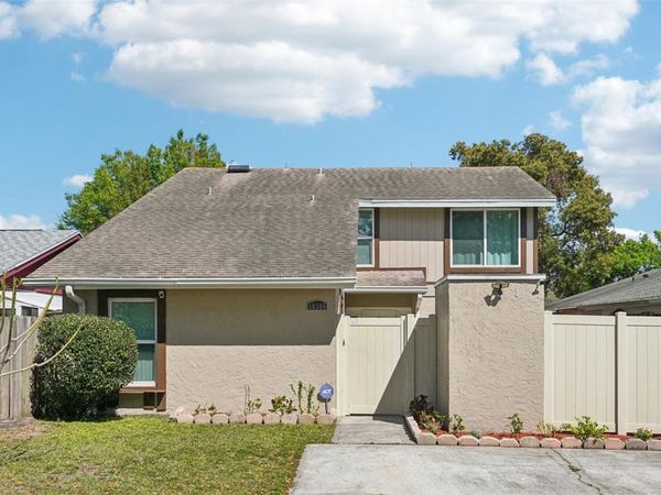 10305 ROSEMOUNT DRIVE , TAMPA, FL 33624