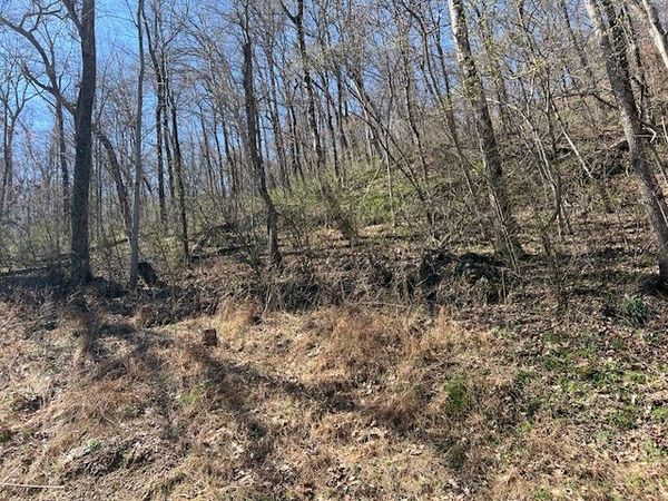 44 Wildcat Drive , Holiday Island, AR 72631