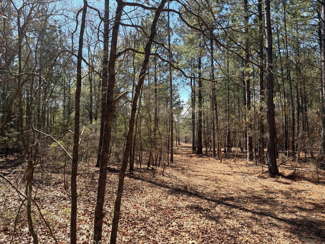 Bhl 11 Boise Cascade Photo 12