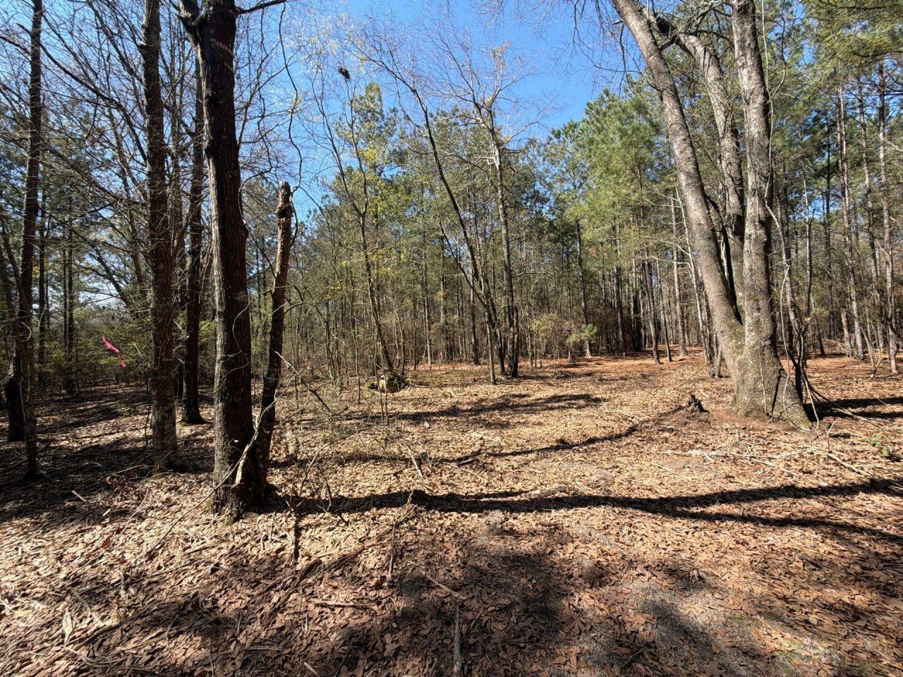 Bhl 11 Boise Cascade Photo 14