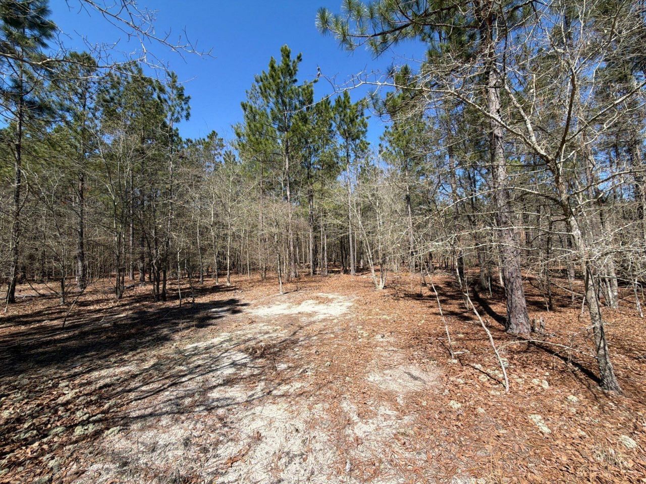 Bhl 11 Boise Cascade Photo 16