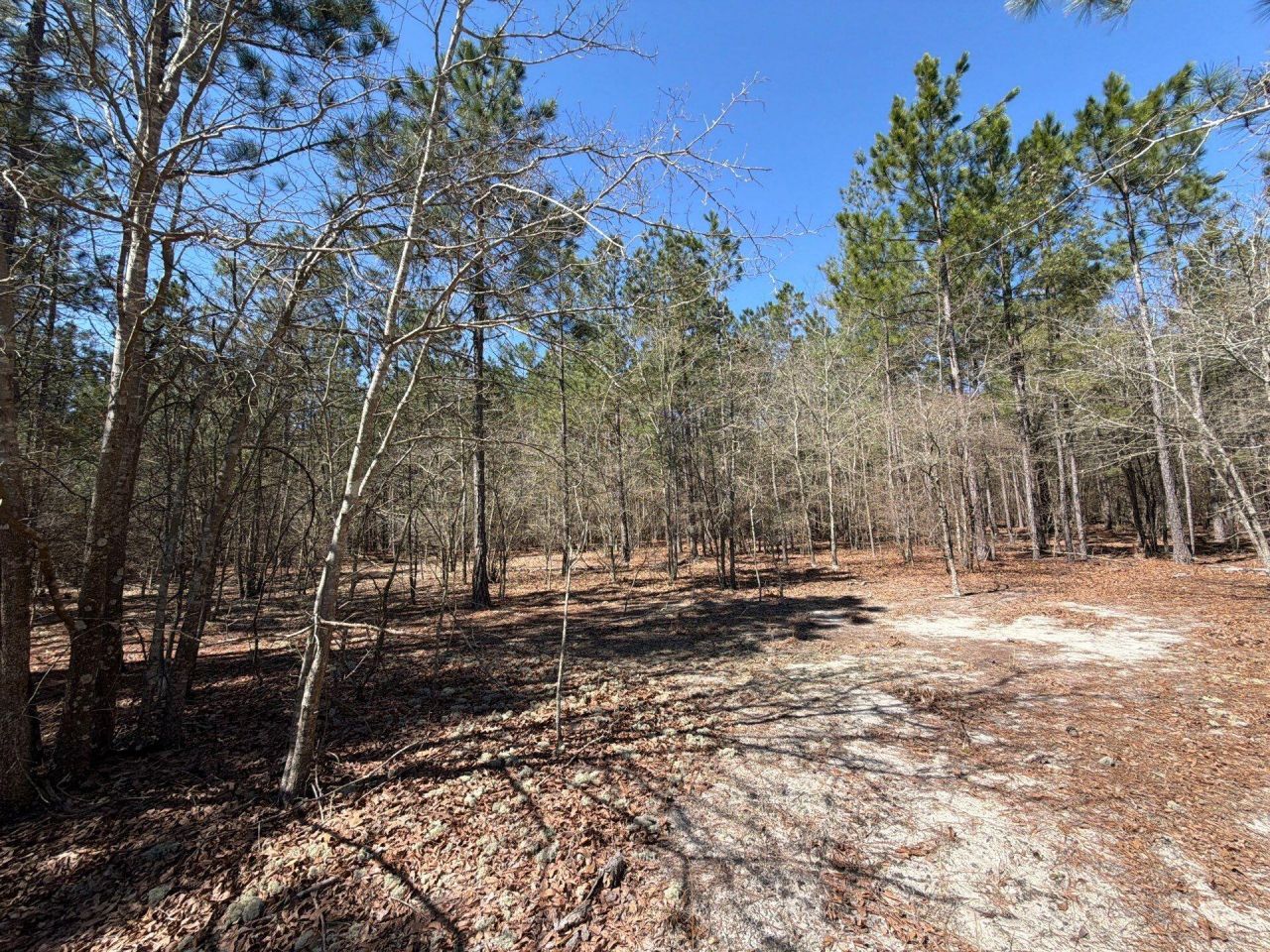 Bhl 11 Boise Cascade Photo 17