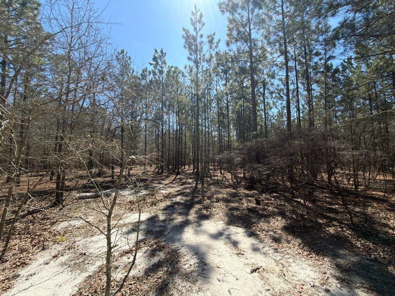 Bhl 11 Boise Cascade Photo 19