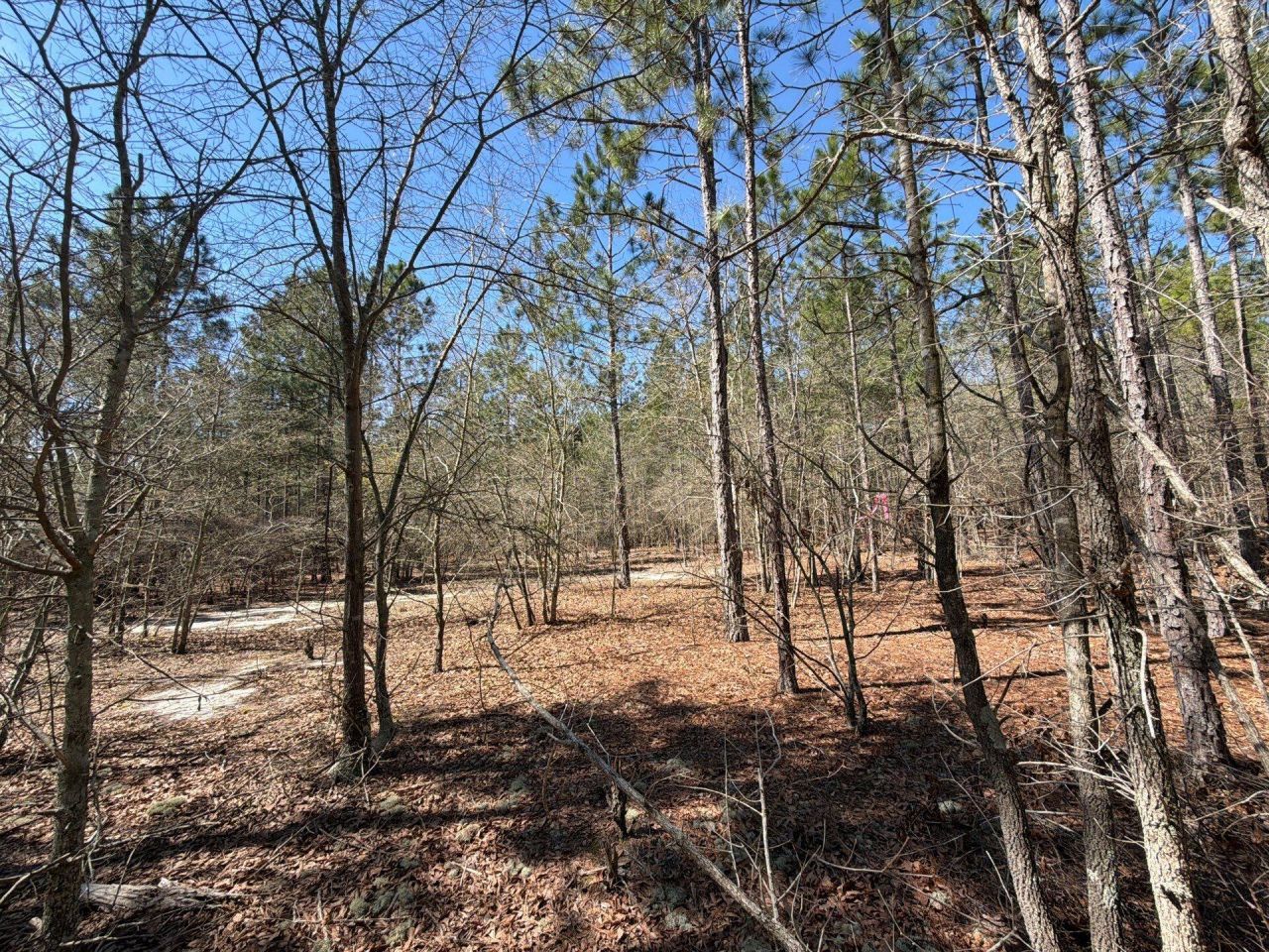 Bhl 11 Boise Cascade Photo 20