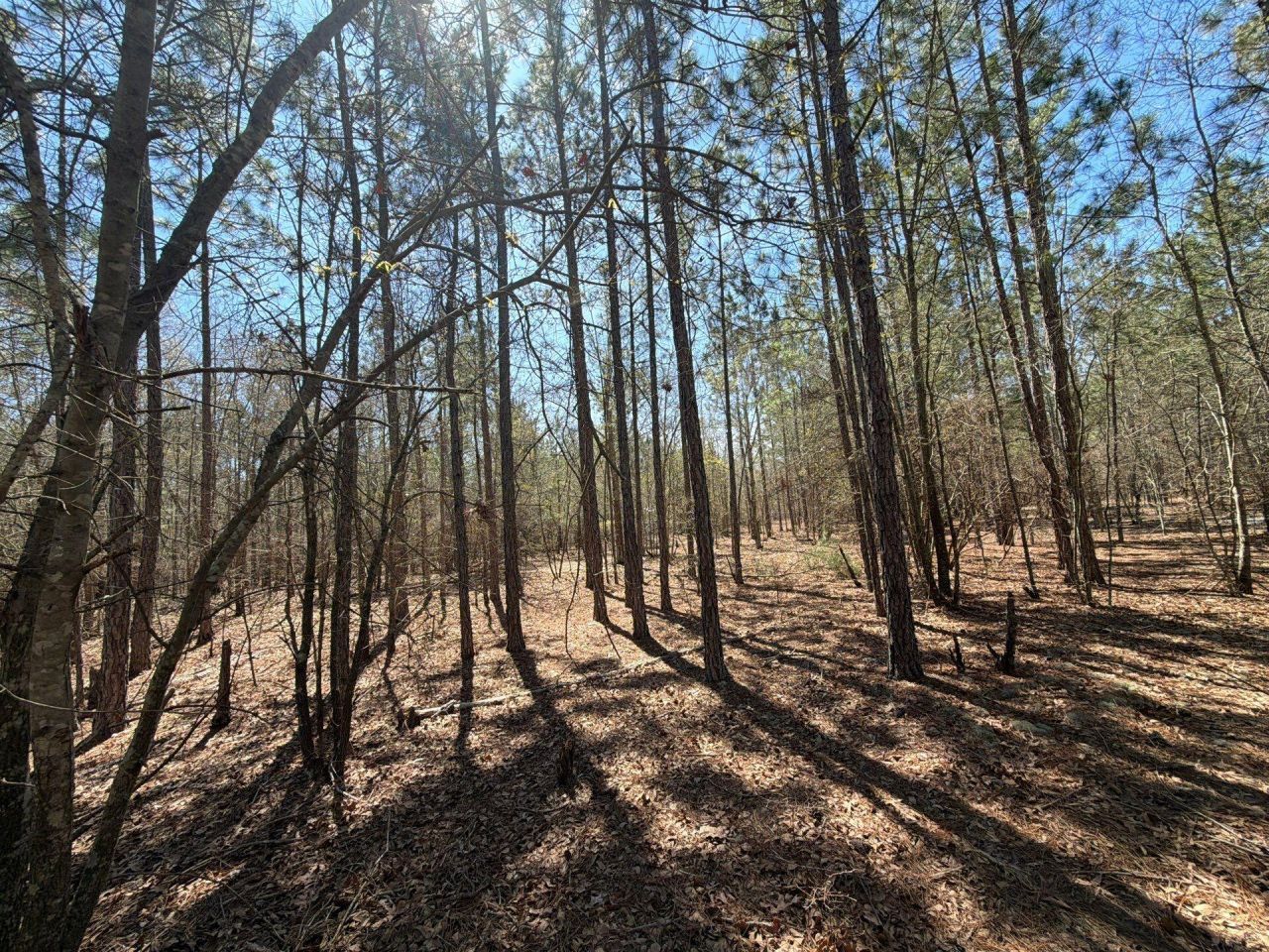 Bhl 11 Boise Cascade Photo 22