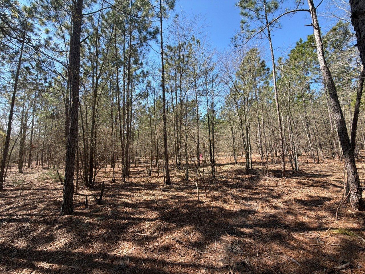 Bhl 11 Boise Cascade Photo 23