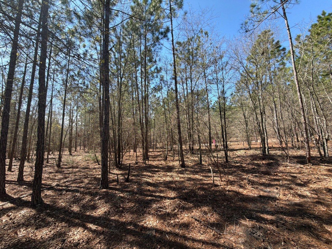 Bhl 11 Boise Cascade Photo 24