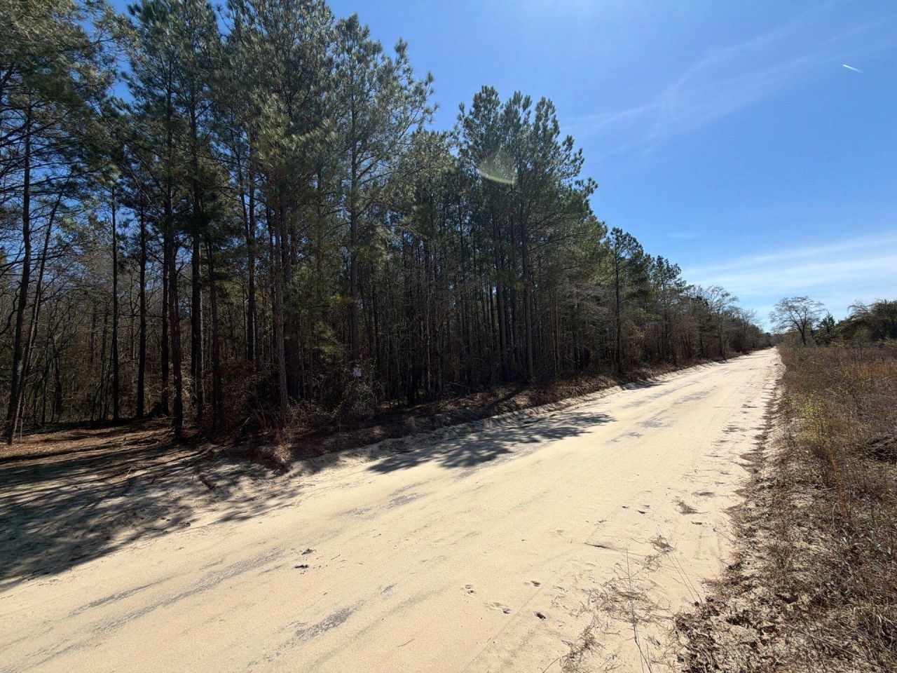 Bhl 11 Boise Cascade Photo 4