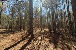 Bhl 11 Boise Cascade photo 4