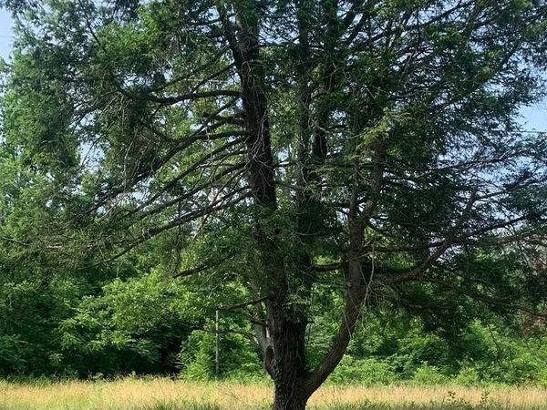 11900 POST OAK ROAD, SPOTSYLVANIA, VA 22551