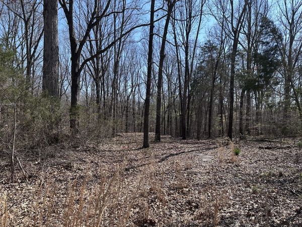 0 Campbell Road , Cross Plains, TN 37049