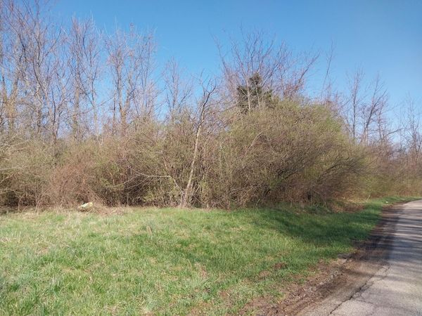 0 Briggs Road , Greenfield, OH 45123