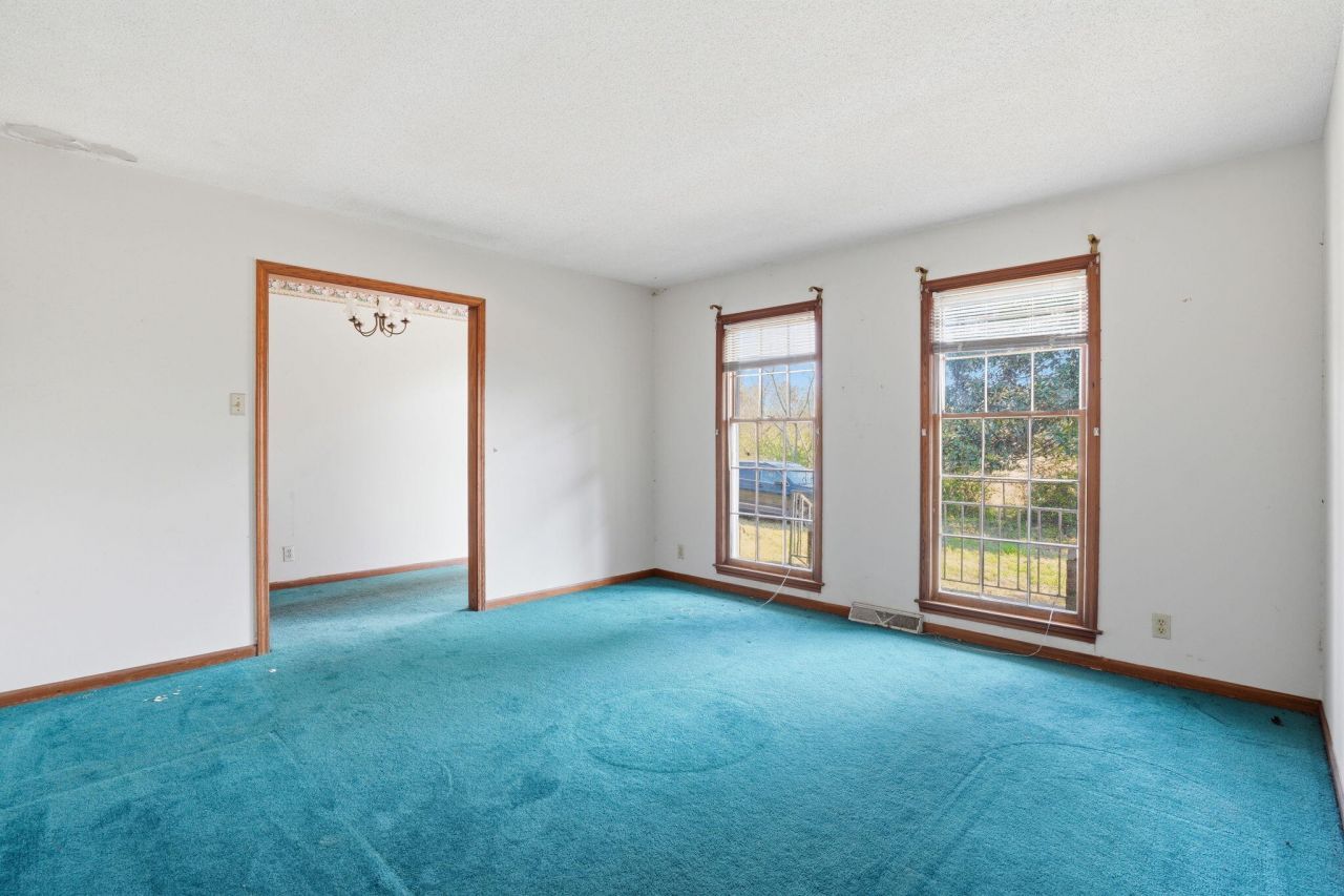 320 Guppy Way Photo 13