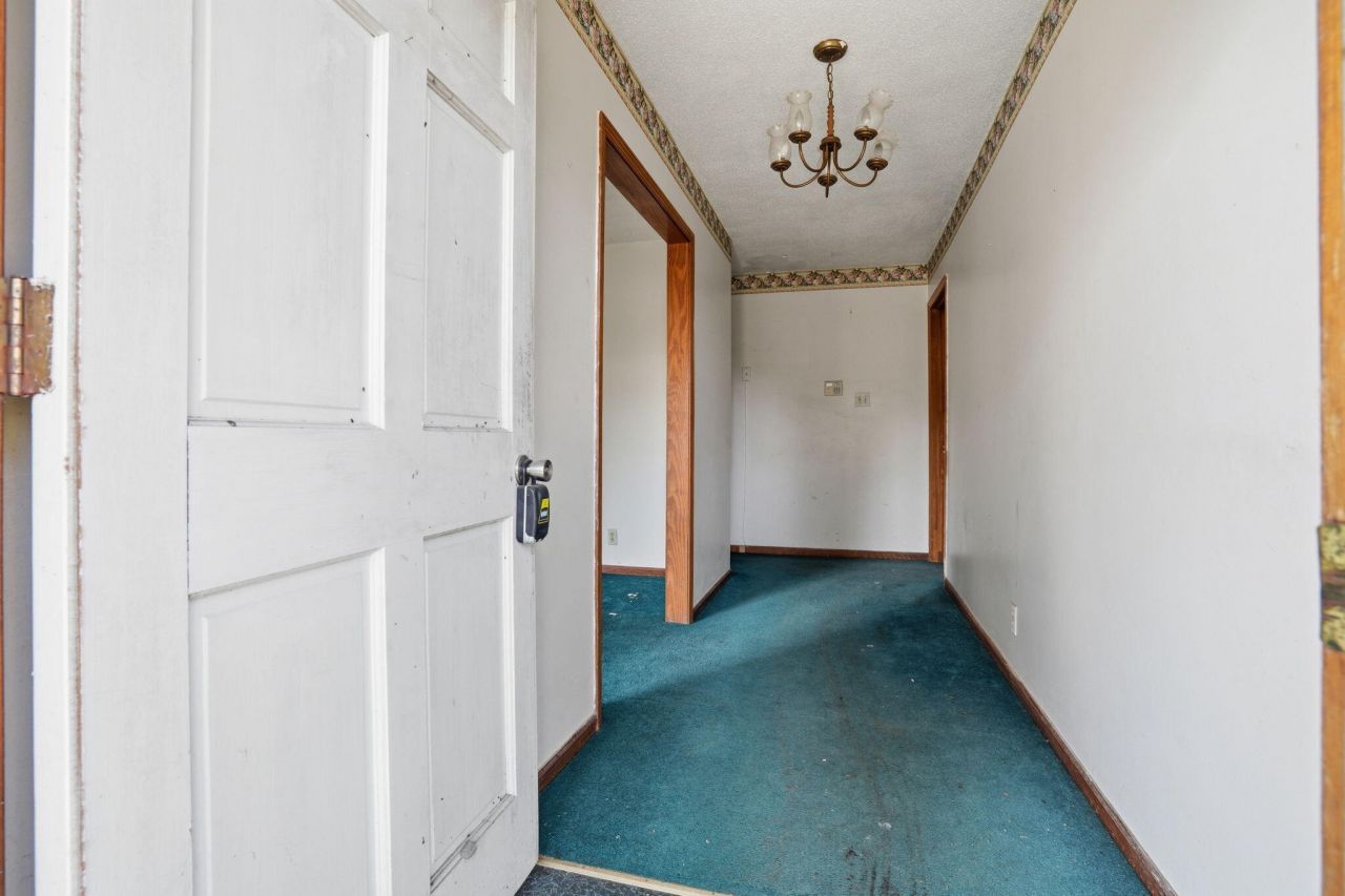 320 Guppy Way Photo 7