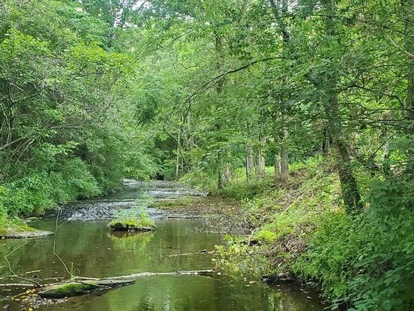 2563 Arlis Hale Road , Russell Springs, KY 42642