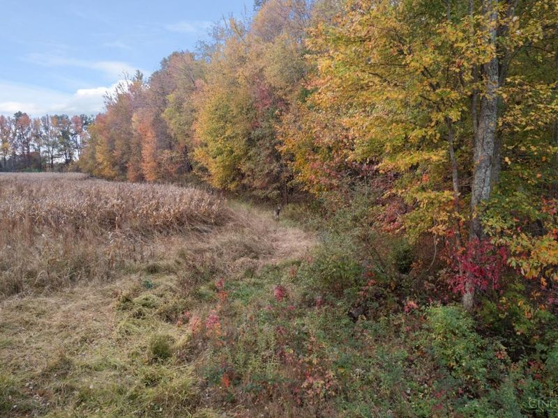 0 Colthar Road, Clark Twp, OH 45106 Photo 3