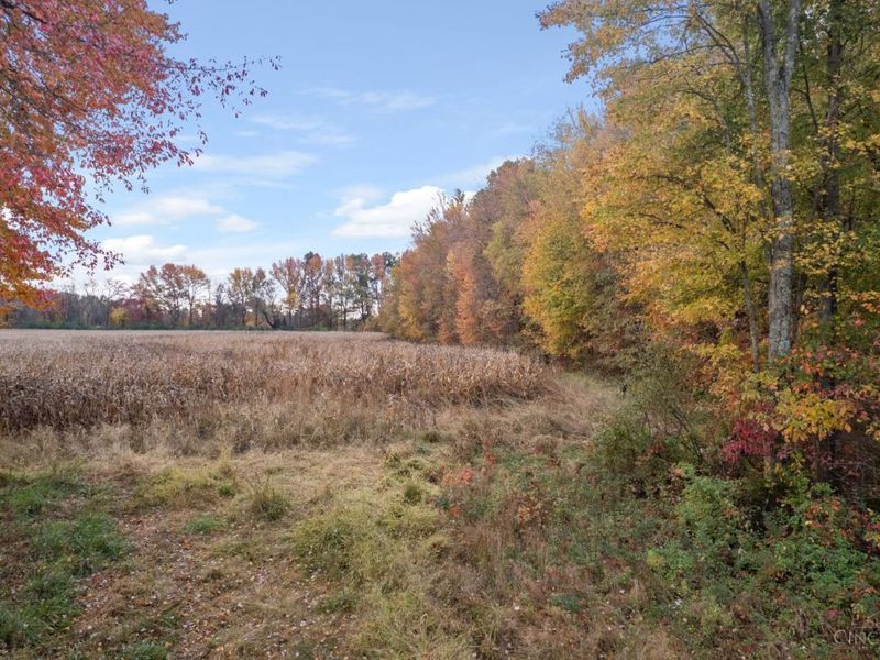 0 Colthar Road, Clark Twp, OH 45106 Photo 4