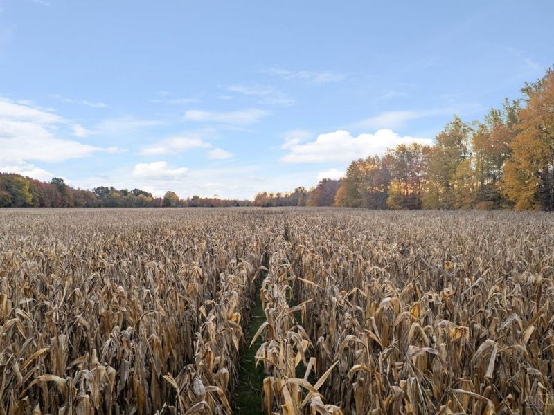 0 Colthar Road, Clark Twp, OH 45106 Photo 5