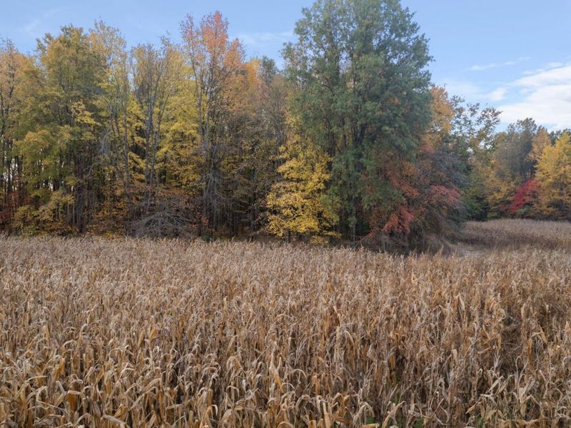 0 Colthar Road, Clark Twp, OH 45106 Photo 6