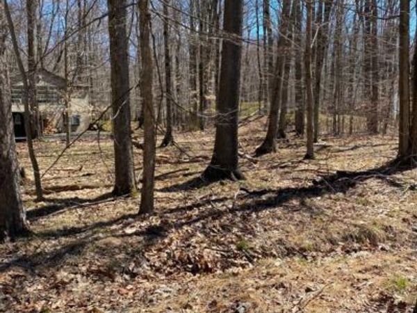 301 TOMMY LANE , POCONO LAKE, PA 18347