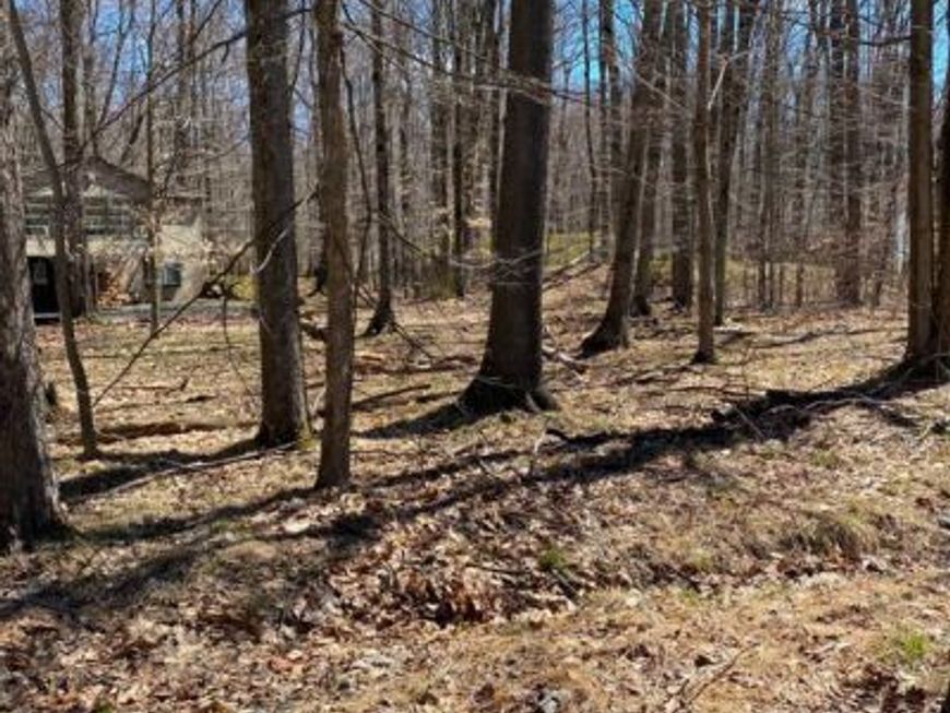 301 Tommy Lane , Pocono Lake, PA 18347 Main Photo